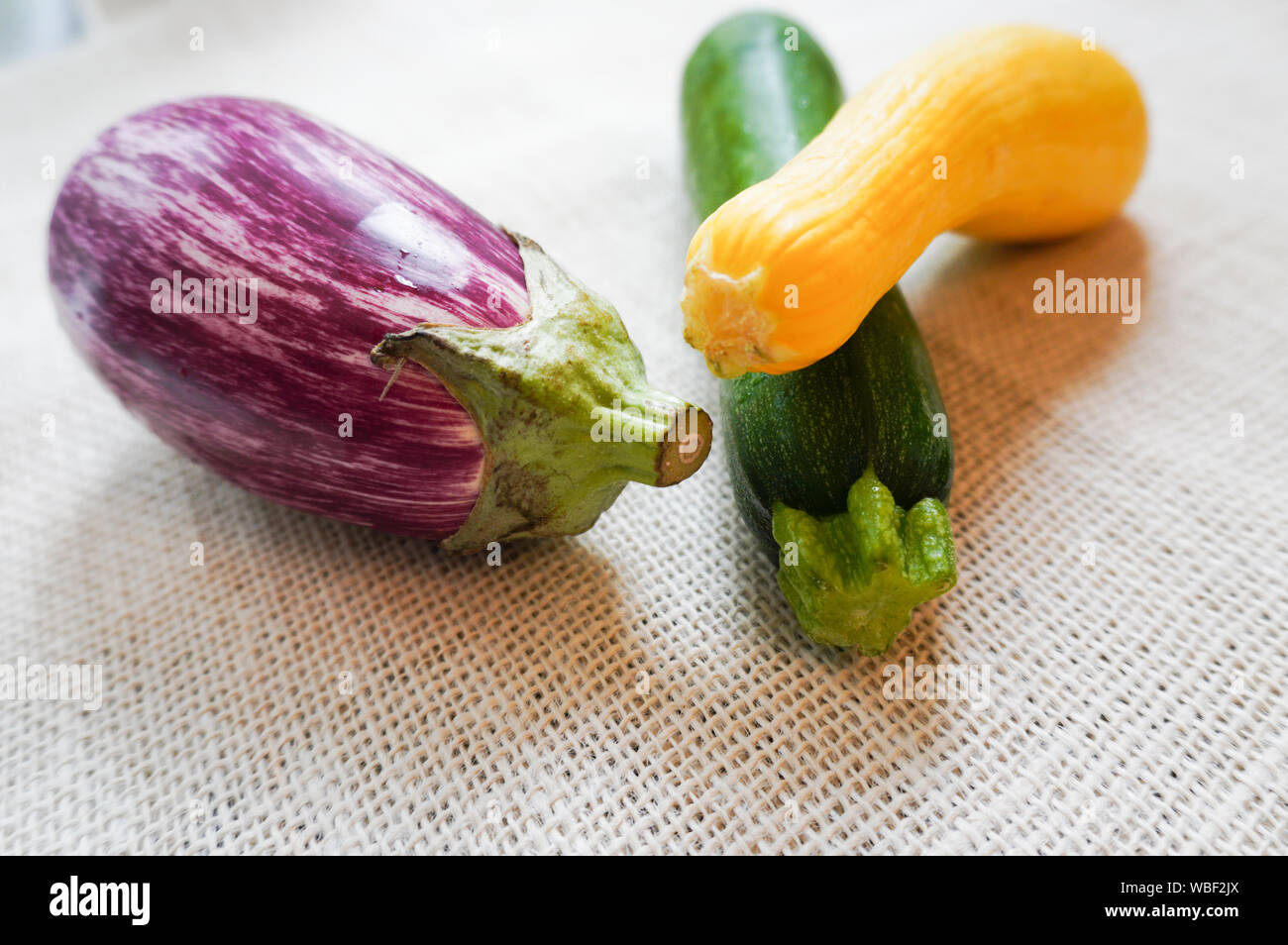 Close-up of eggplant, zucchini and yellow squash- vegetables harvested from the garden in summer Stock Photo