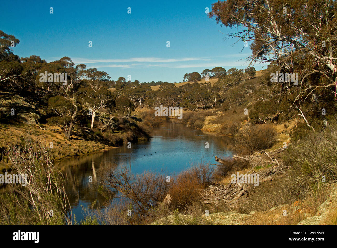 Australian landscape with calm blue waters of Bombala River hemmed by hills cloaked with gum trees and golden grasses under blue sky in NSW Stock Photo