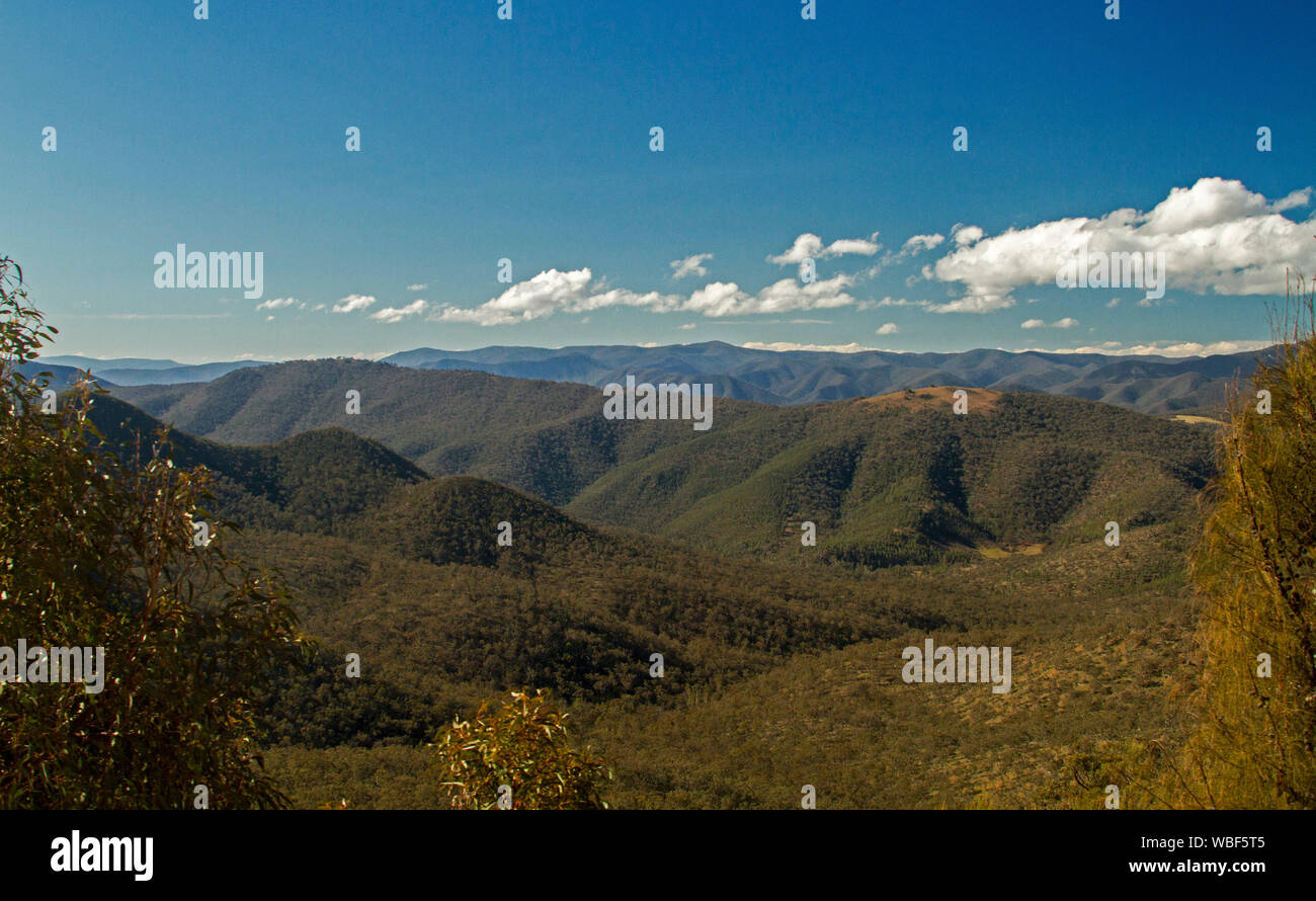 Landscape dominated by rugged forested peaks of mountains of Alpine National Park that stretch to distant horizon under blue sky, Victoria Australia Stock Photo