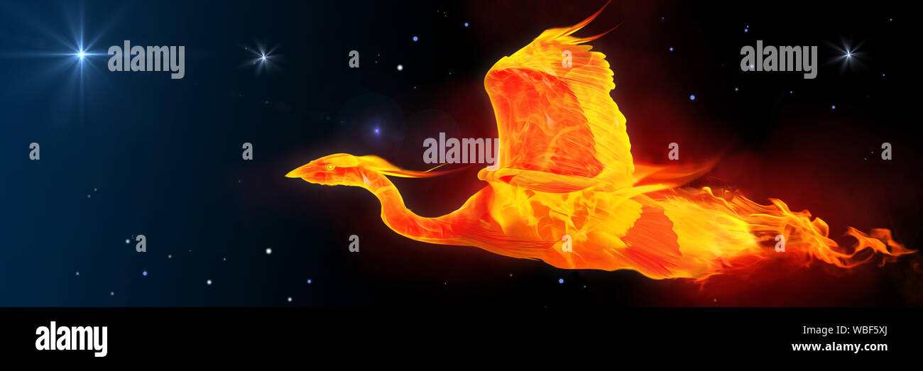 An art of a mythological bird known as phoenix, a bird on fire flying in space background. Stock Photo