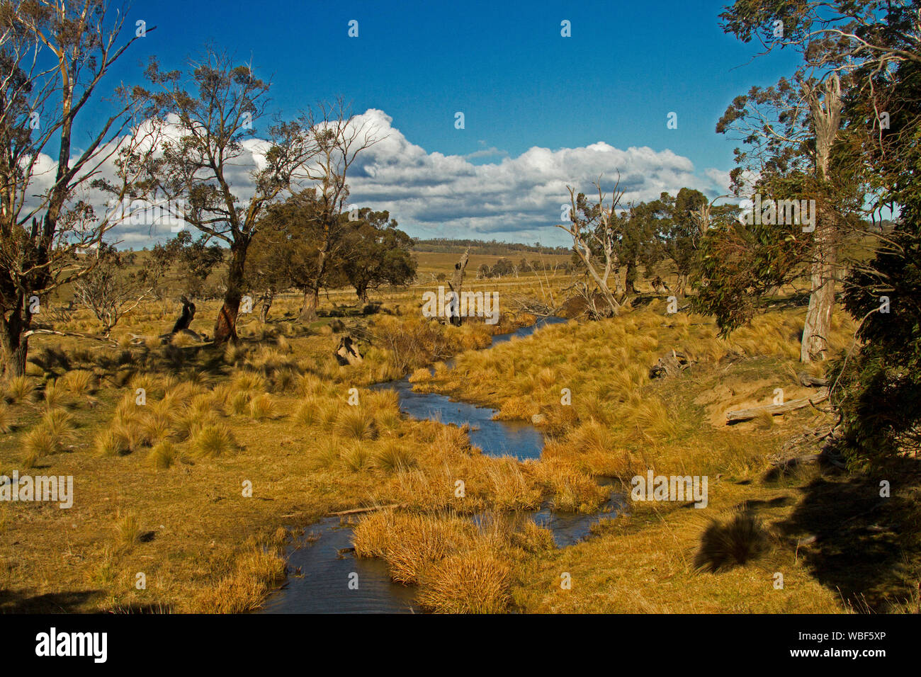 Colourful Australian winter landscape with gum trees & golden grasses hemming azure waters of narrow stream & hills rising into blue sky  in Victoria Stock Photo
