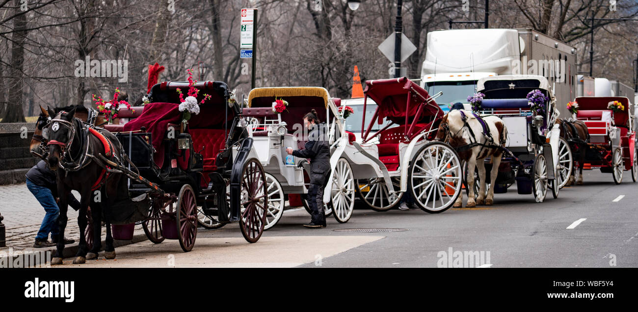 New york city central park carriage hi-res stock photography and images ...