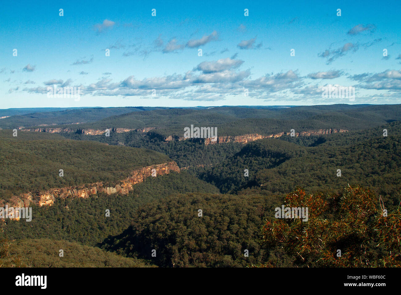 Stunning view of landscape of forested hills of Great Dividing Range severed by rugged gorges stretching to distant horizon & blue sky , NSW Australia Stock Photo