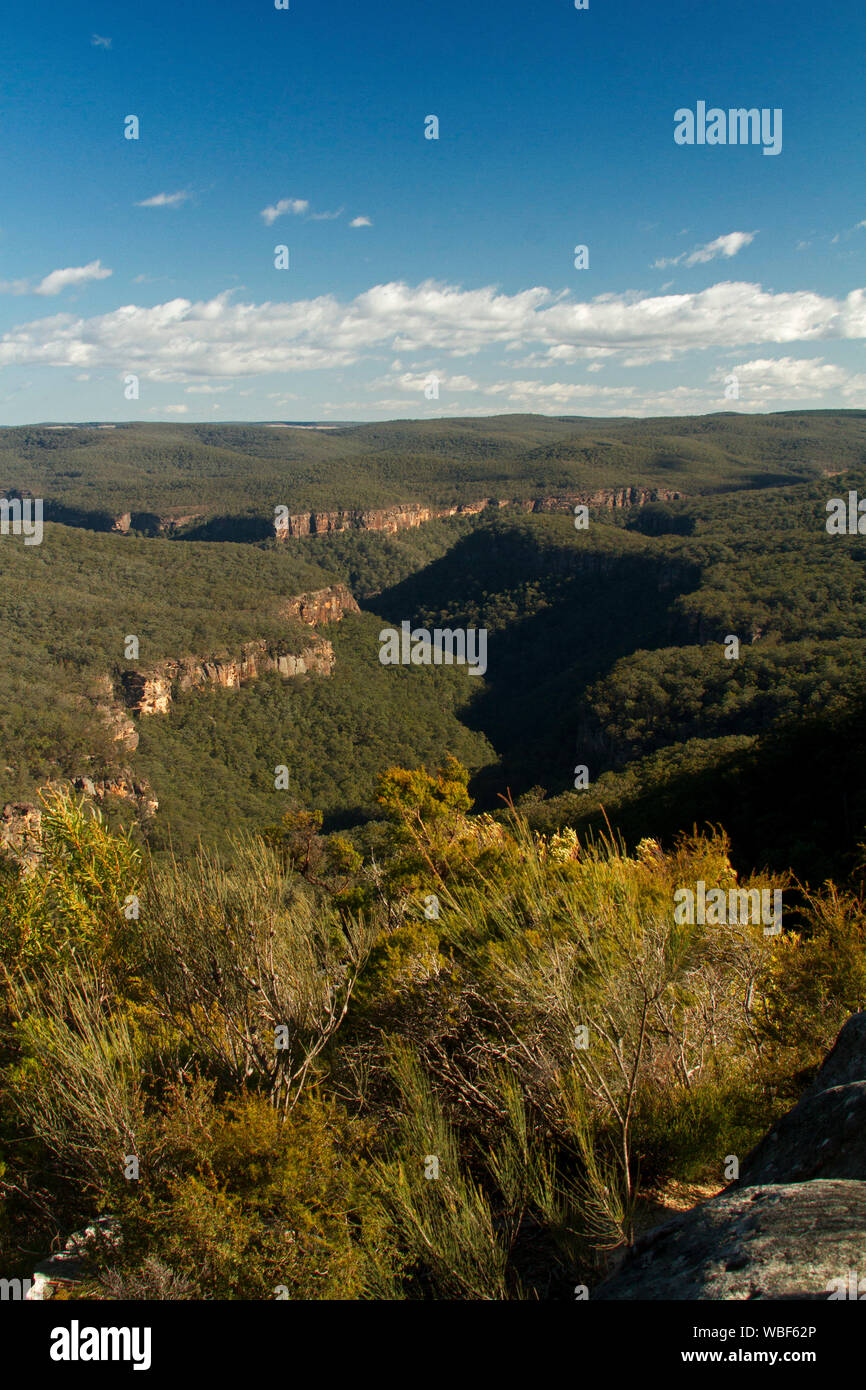 Stunning view of landscape of forested hills of Great Dividing Range severed by rugged gorges stretching to distant horizon & blue sky , NSW Australia Stock Photo