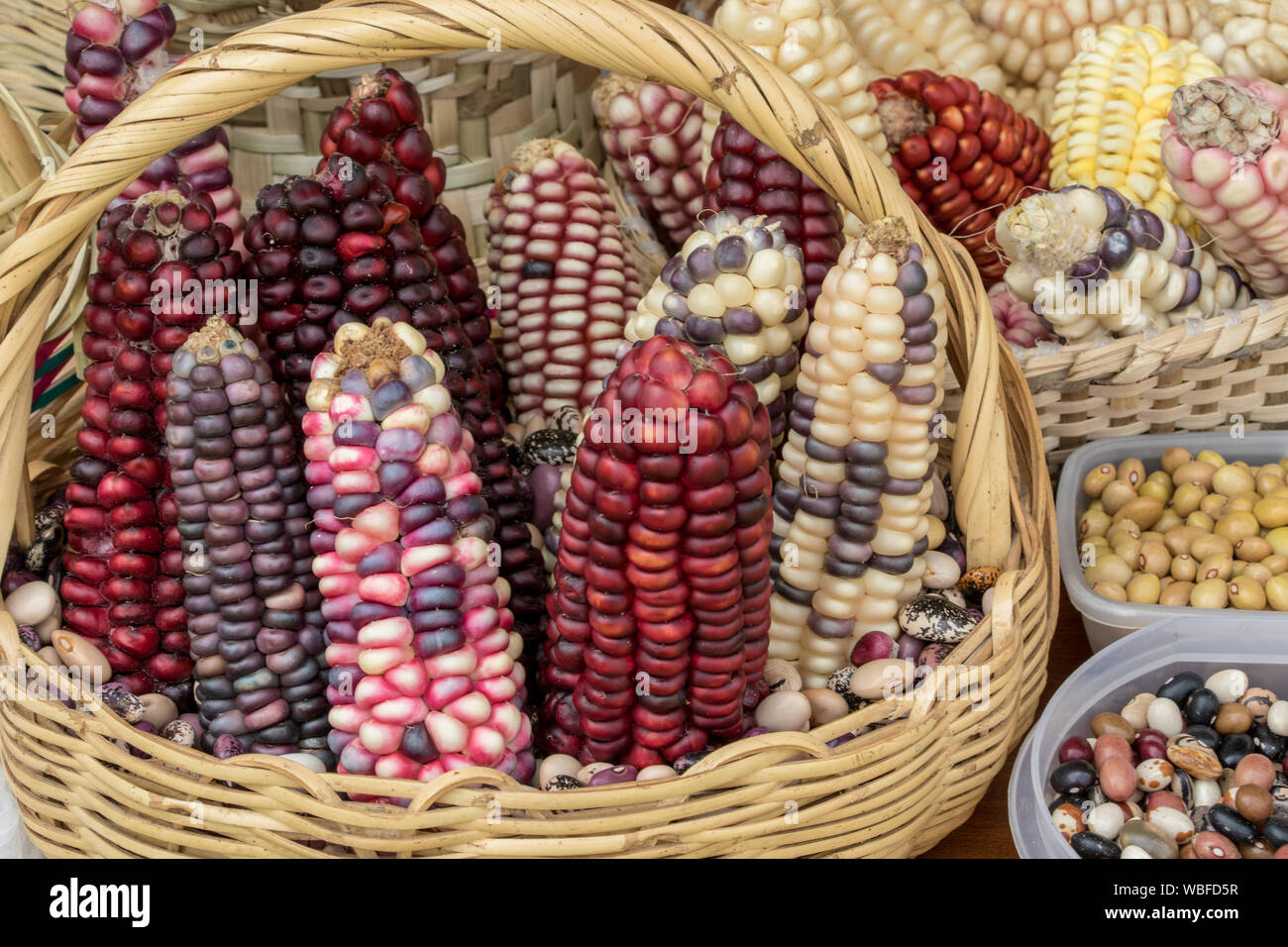 Indian corn in basket at a market Stock Photo