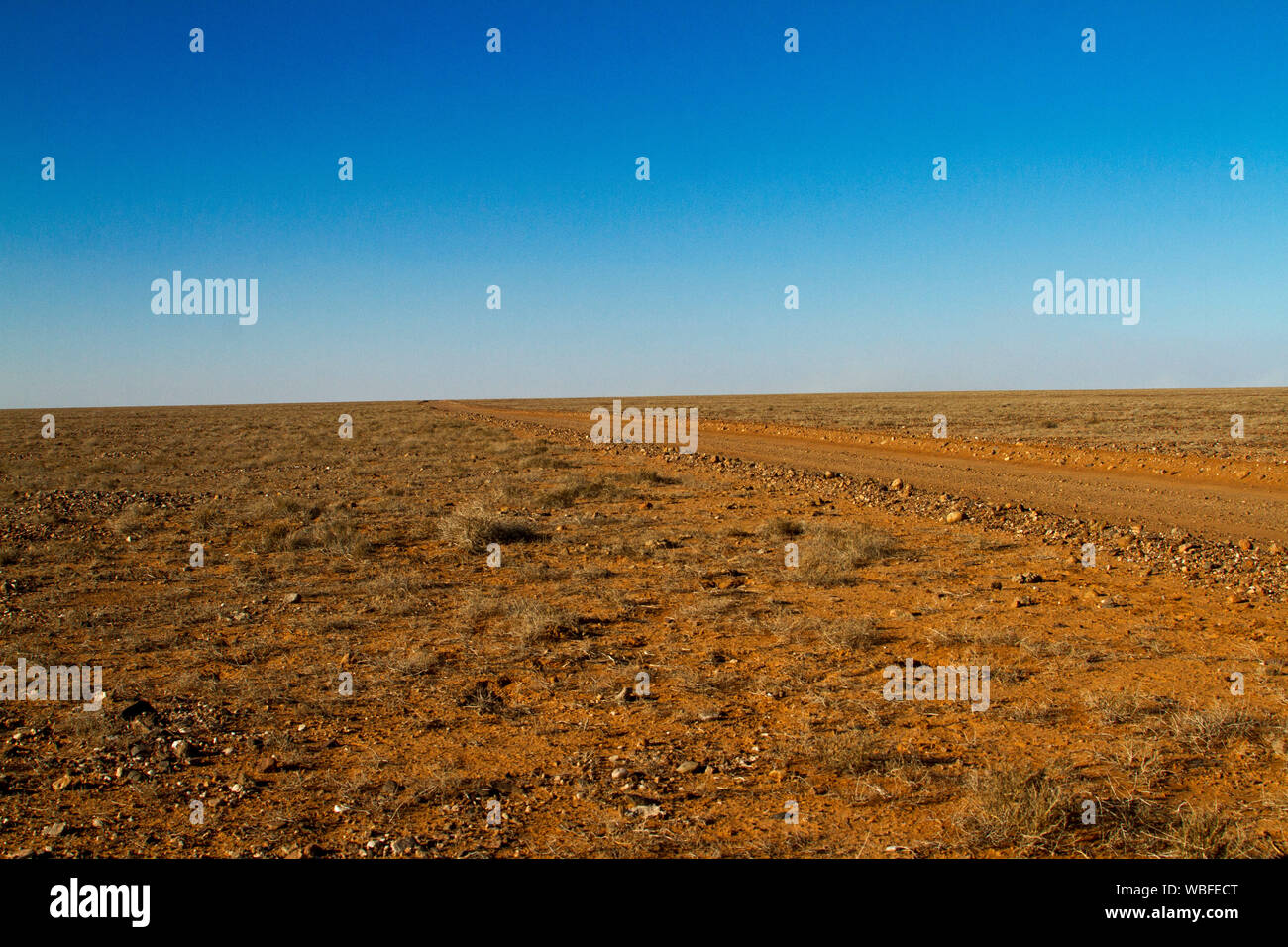 Outback landscape with road, Strzelecki track, stretching across barren red plains to distant horizon under blue sky during drought in South Australia Stock Photo