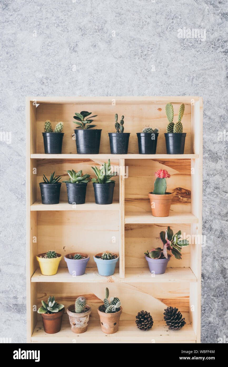 Potted Plants On Wooden Shelf Against Wall Stock Photo Alamy