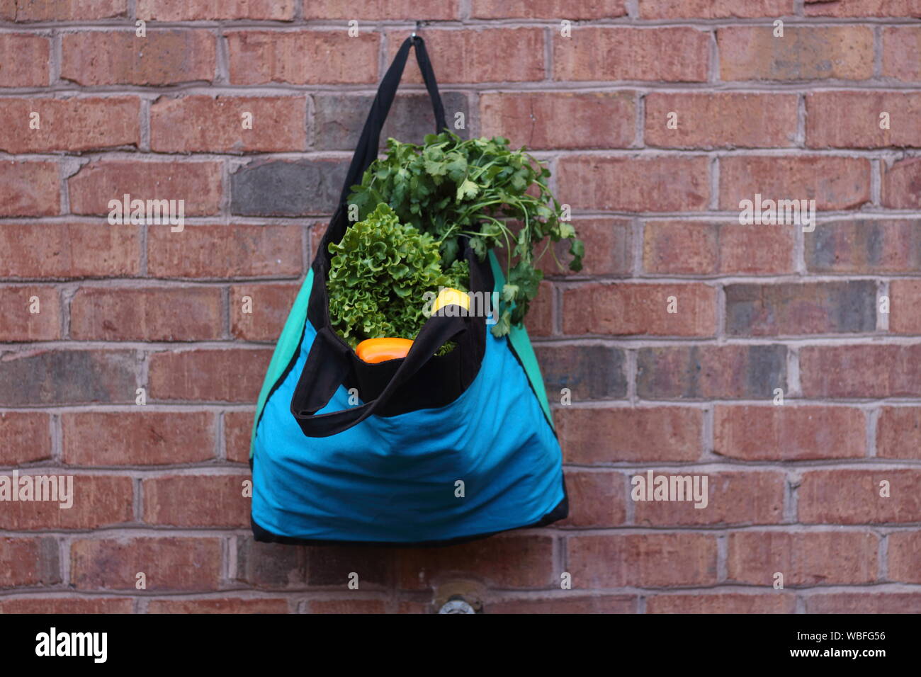Groceries In Bag Hanging On Brick Wall Stock Photo