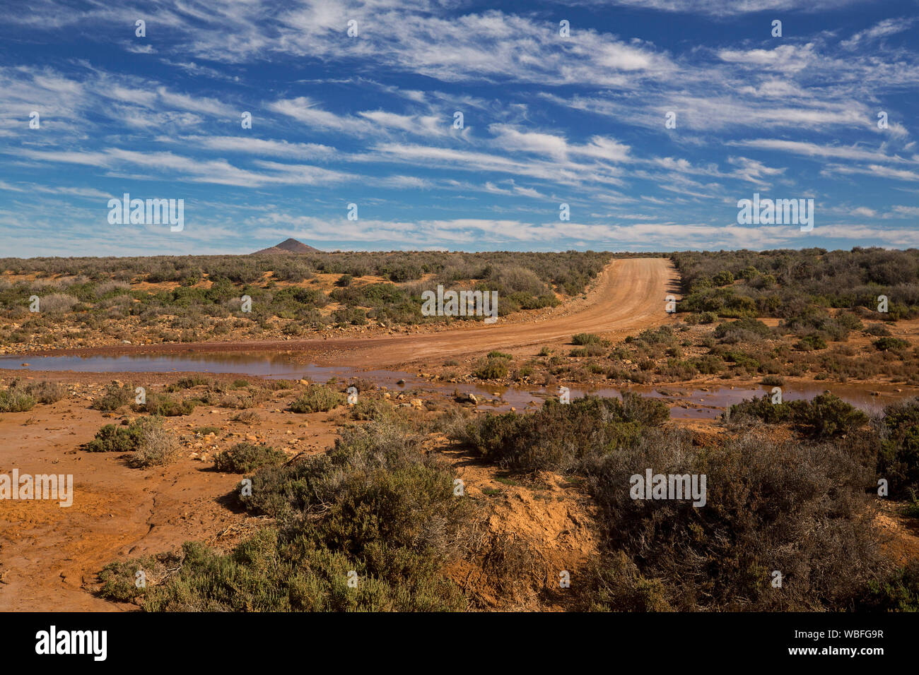 Outback landscape with red soil covered in saltbush & road crossing Willochra Creek  in Flinders Ranges region under blue sky in South Australia Stock Photo