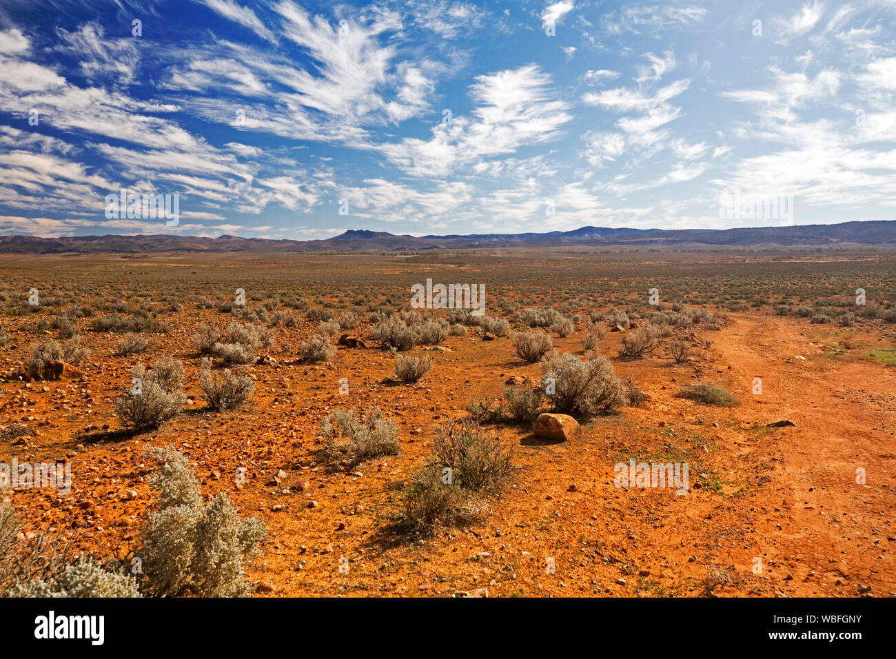 Arid stony outback landscape of Flinders Ranges region with low hills on horizon rising into blue sky freckled with clouds in South Australia Stock Photo