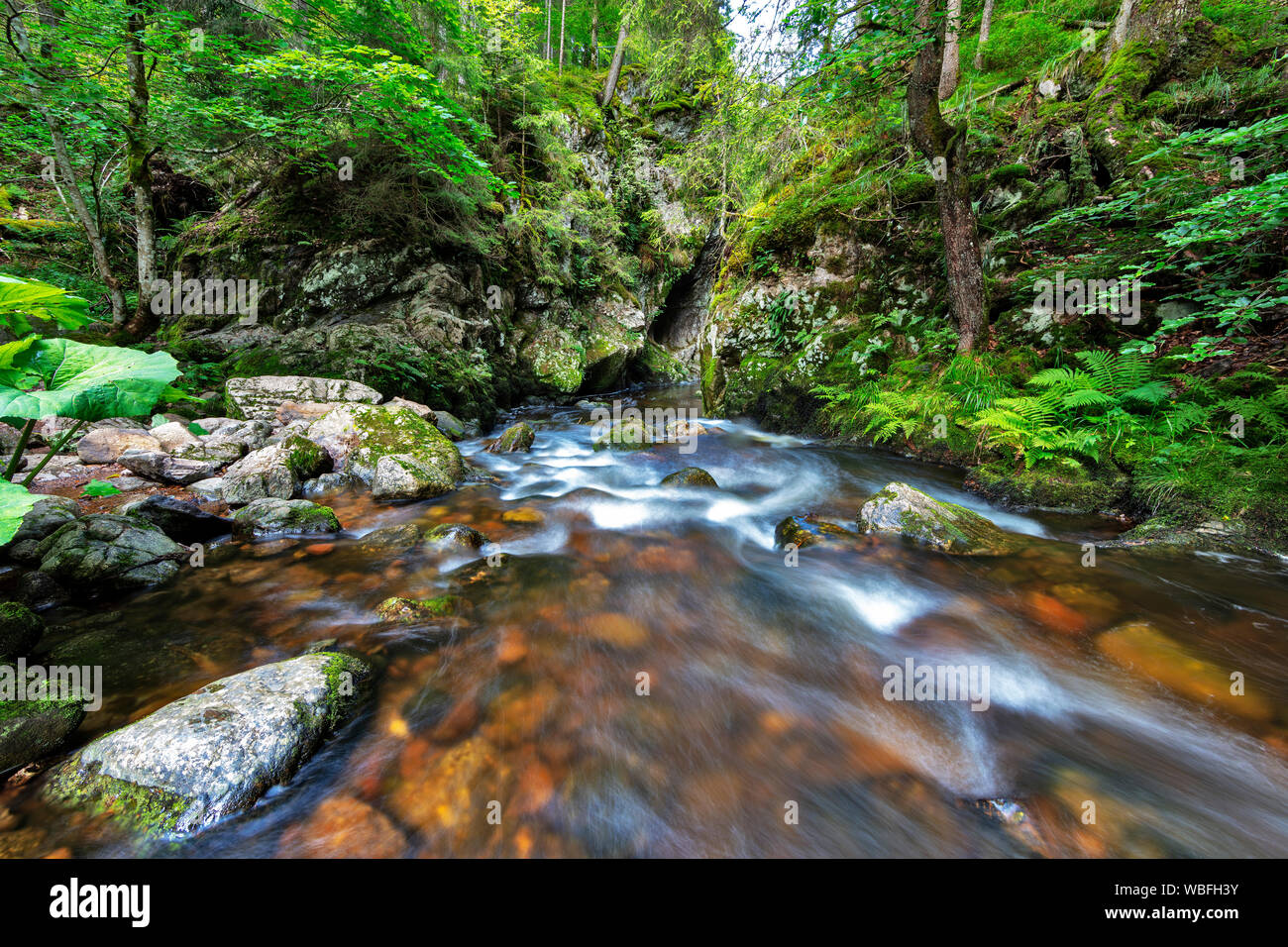 Holltor hi-res stock photography and images - Alamy