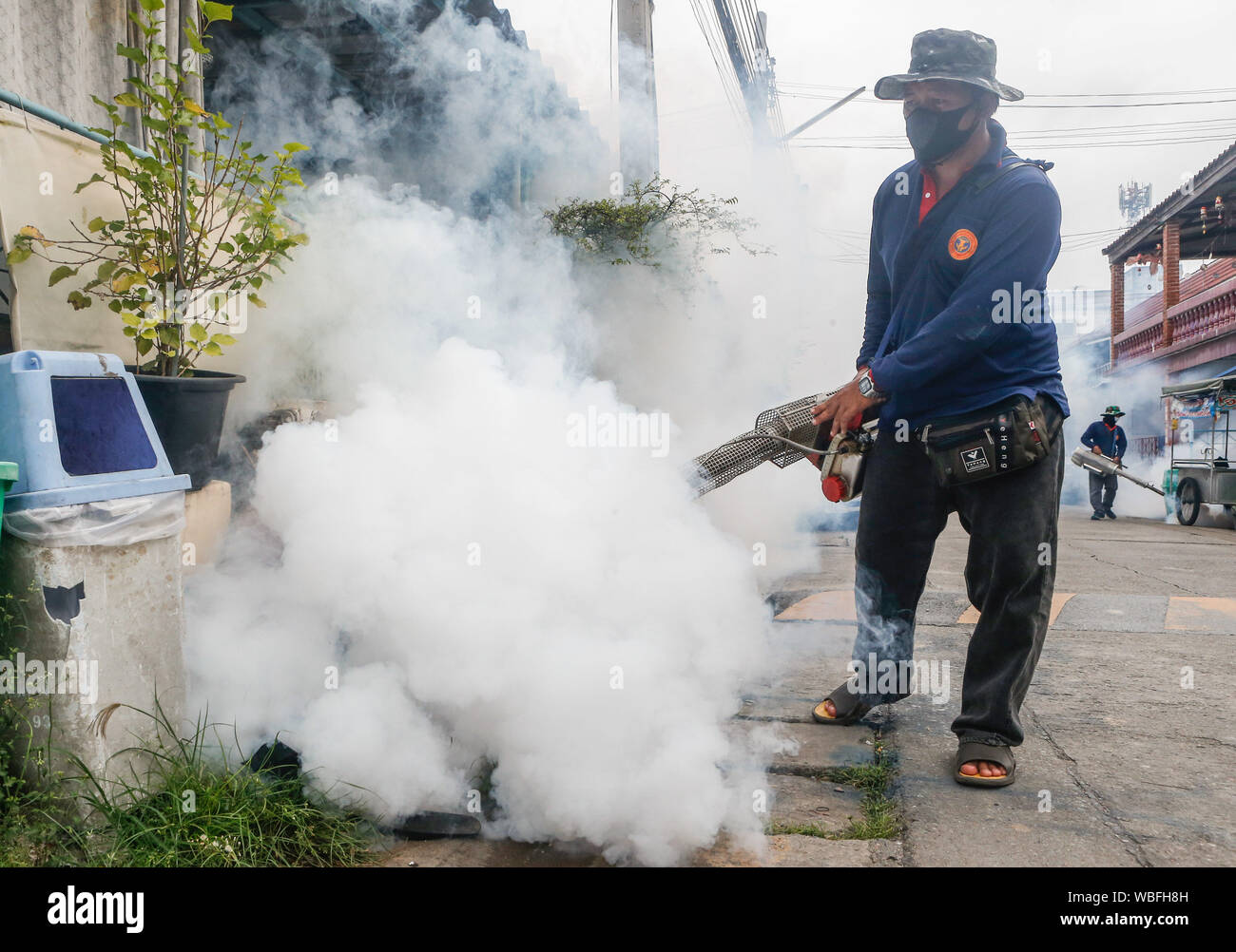 Dengue fever prevention hires stock photography and images Alamy