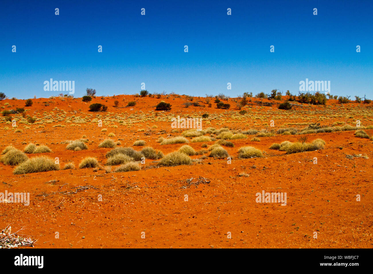 Australian outback landscape with low red sand dunes daubed with tufts of spinifex grass under blue sky during drought Stock Photo