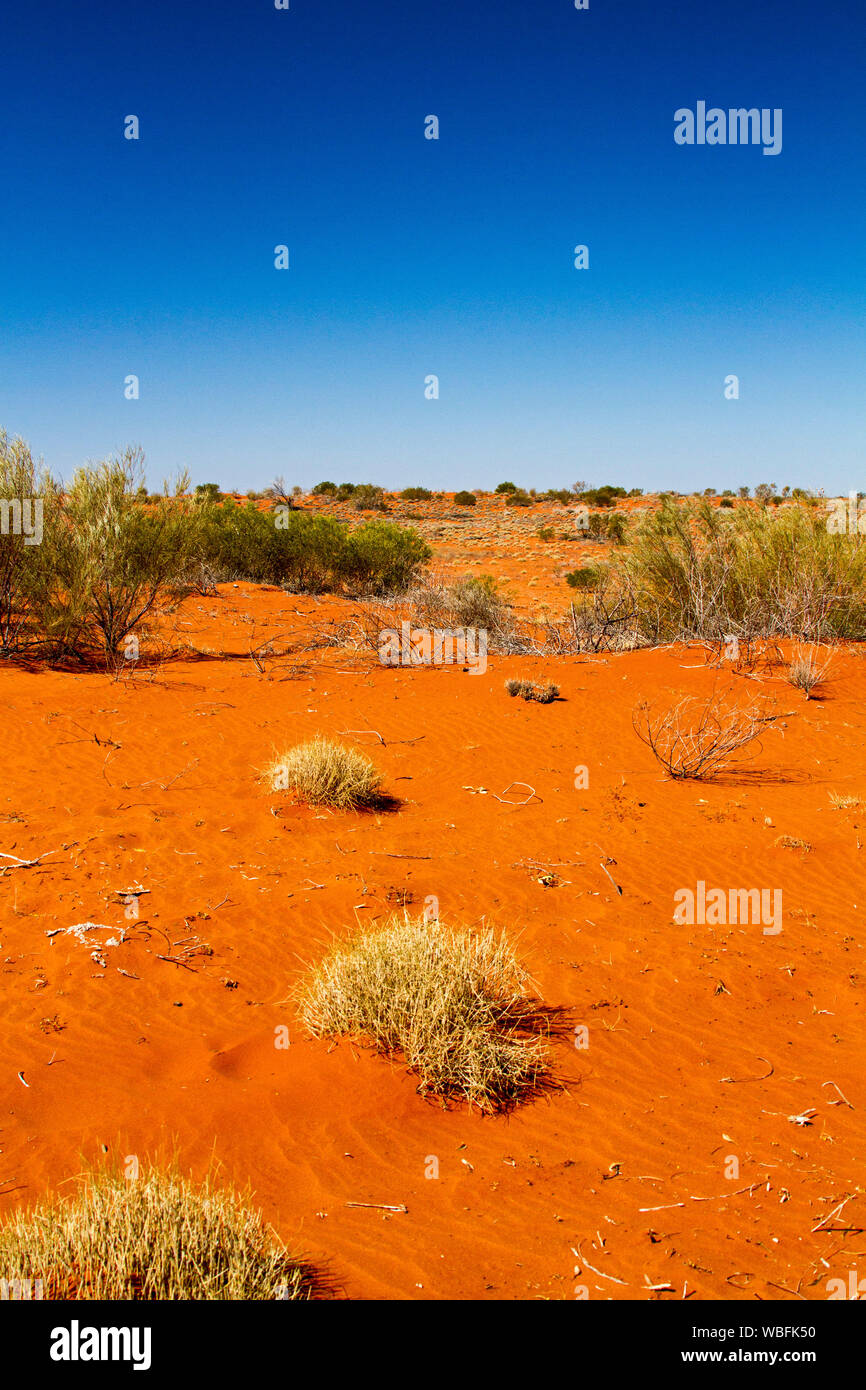 Australian outback landscape with low red sand dunes daubed with tufts of spinifex grass under blue sky during drought Stock Photo