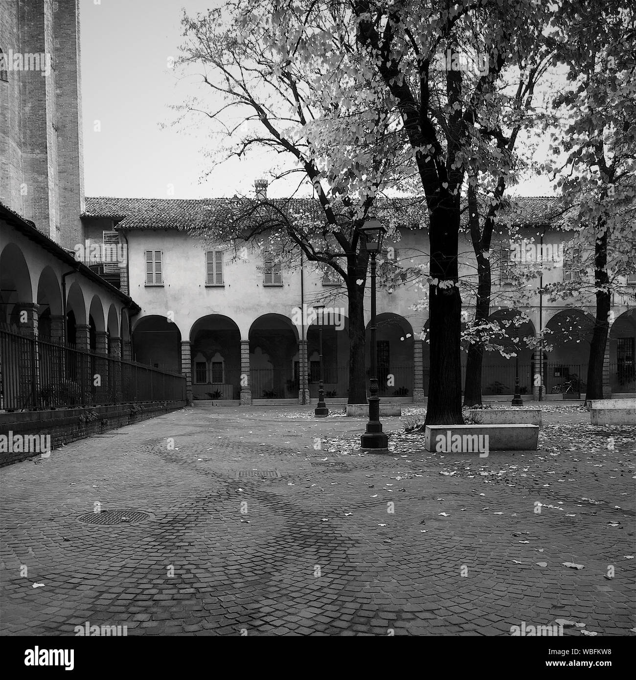 Trees Courtyard High Resolution Stock Photography and Images - Alamy