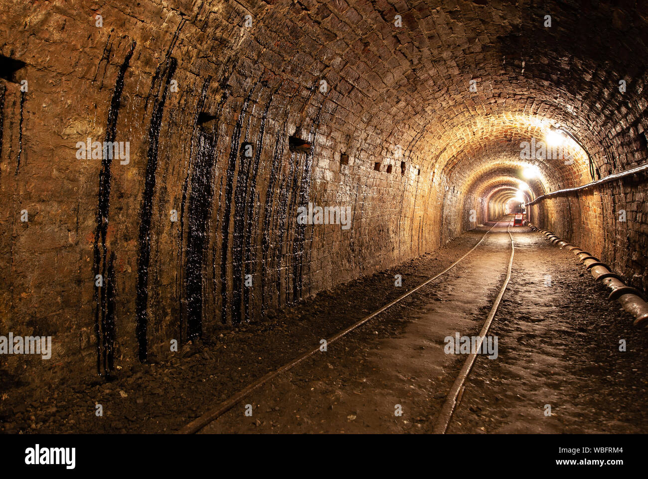 Inside view of a brick-lined tunnel with tar seeping down the walls and a narrow-gauge railway track at Coalport, Ironbridge Gorge, England. Stock Photo