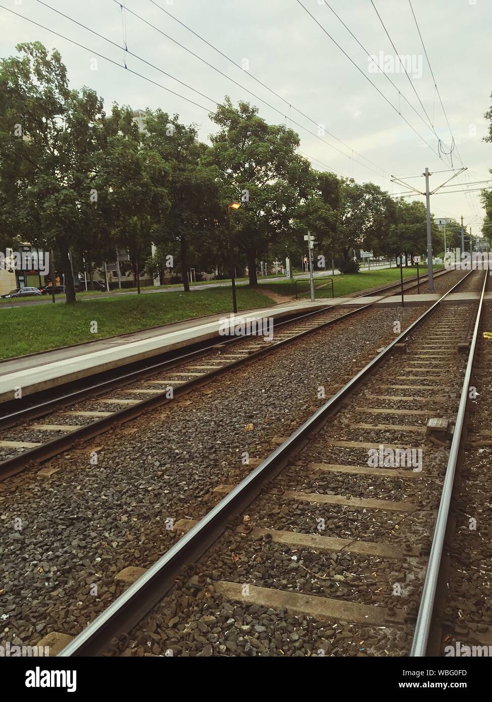 Railroad Tracks By Trees On Field Stock Photo