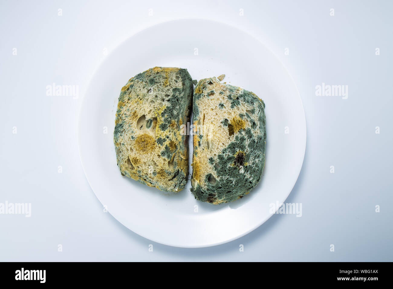 Bread - old and moldy sliced, isolated on white background. Stock Photo