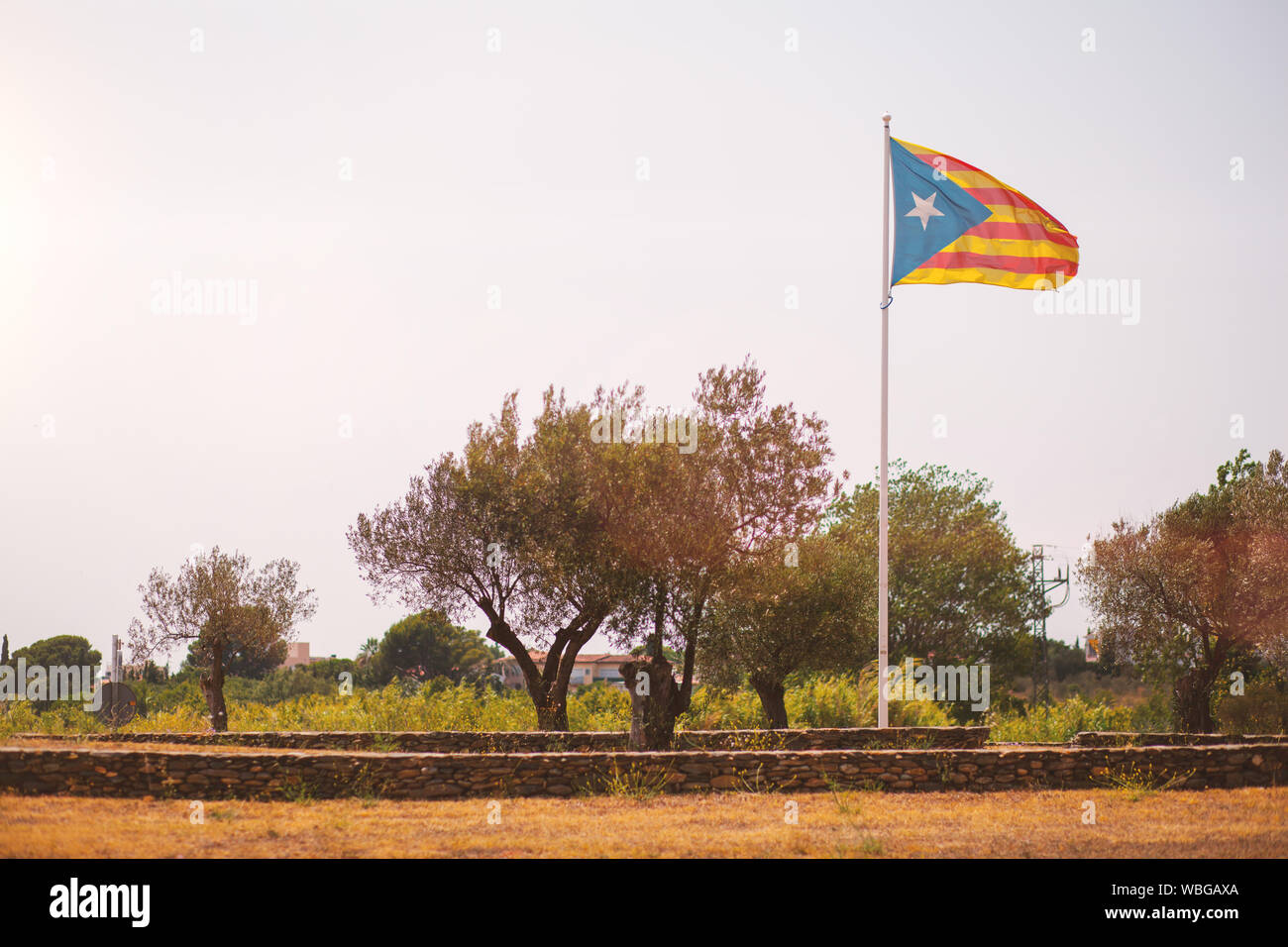 Catalonian Flag On Field Against Clear Sky Stock Photo