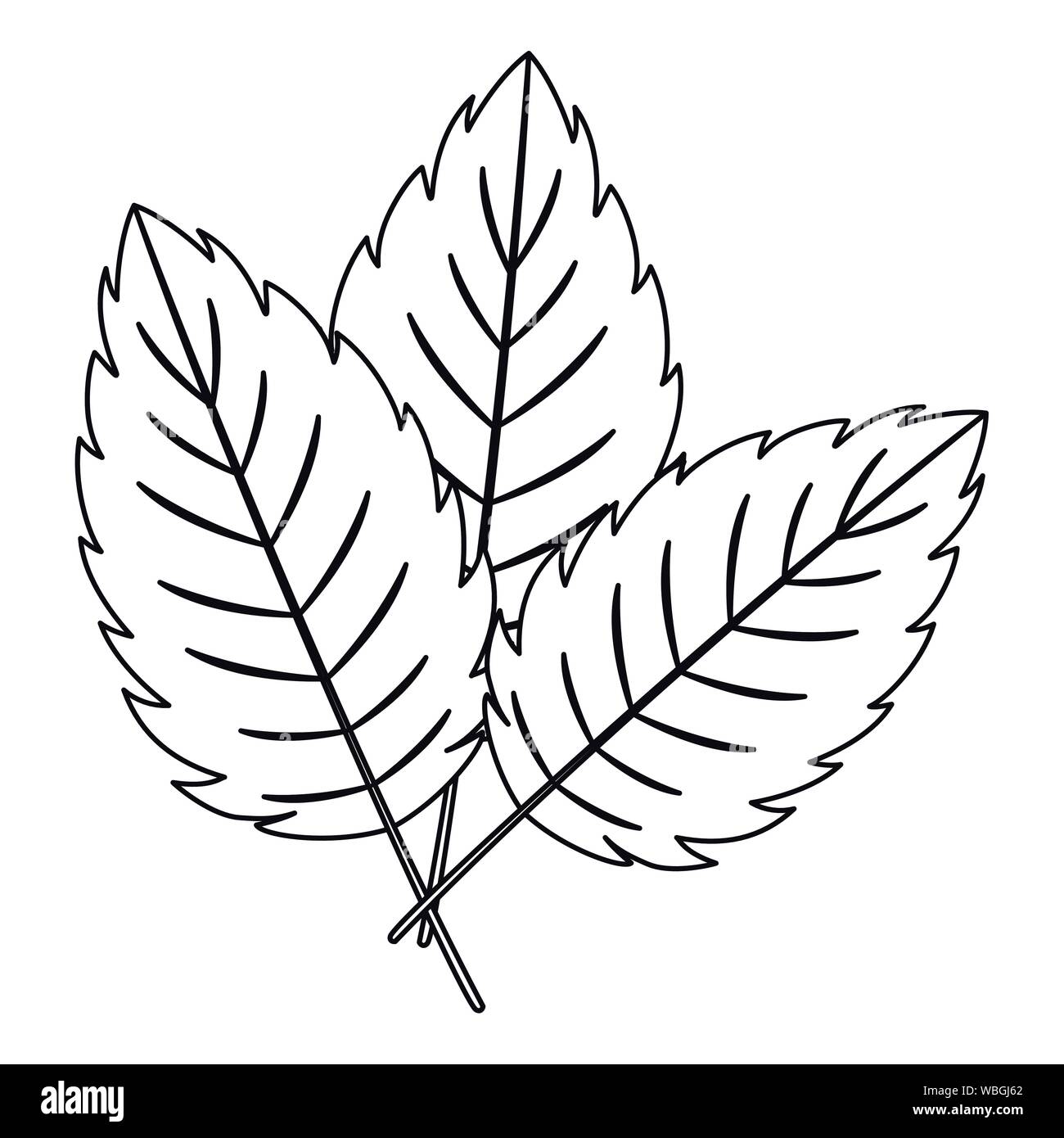 Sketch Leaf PNG Transparent Images Free Download  Vector Files  Pngtree
