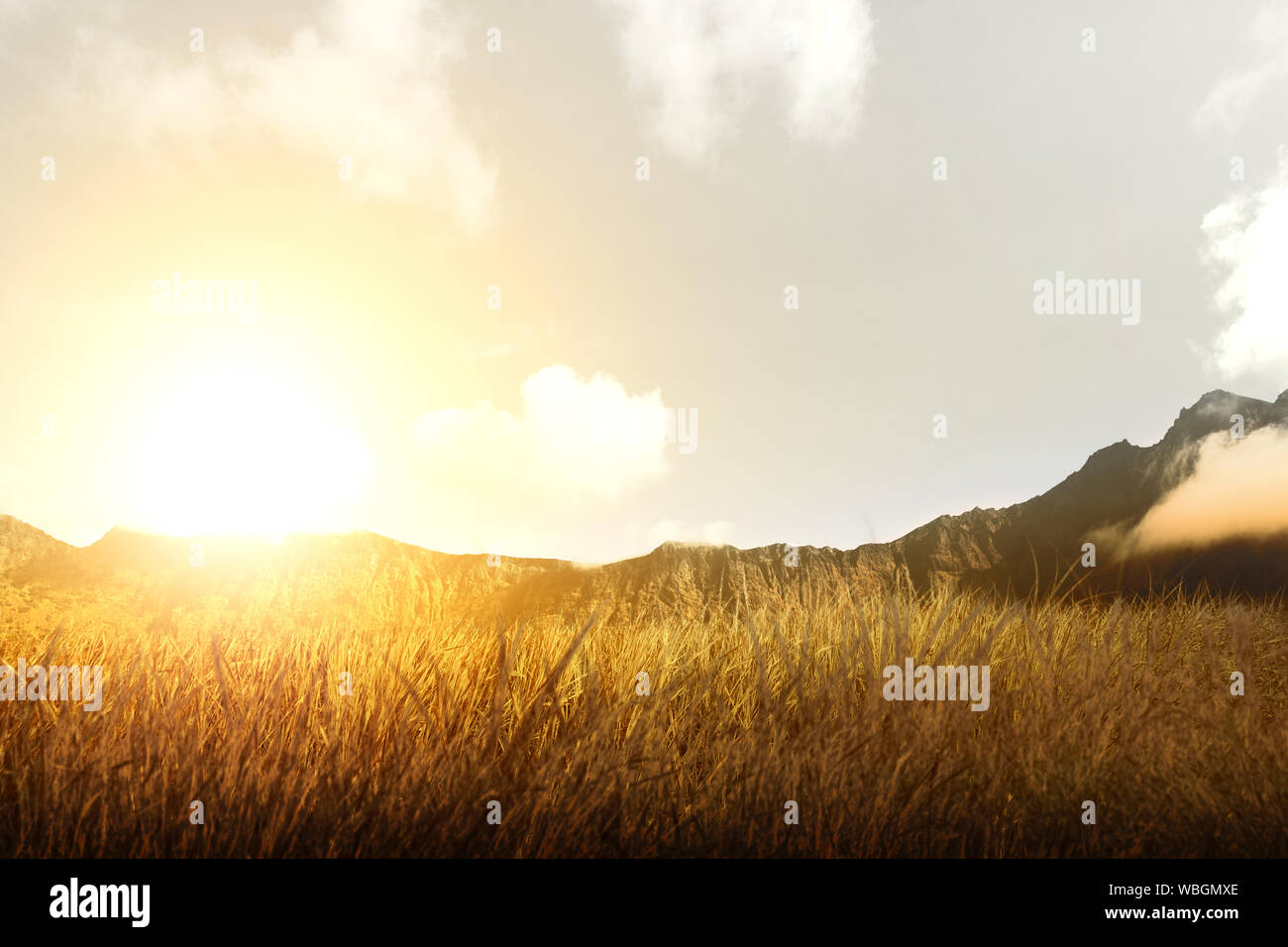 Dry grass field with mountain and sunlight over sky background Stock Photo