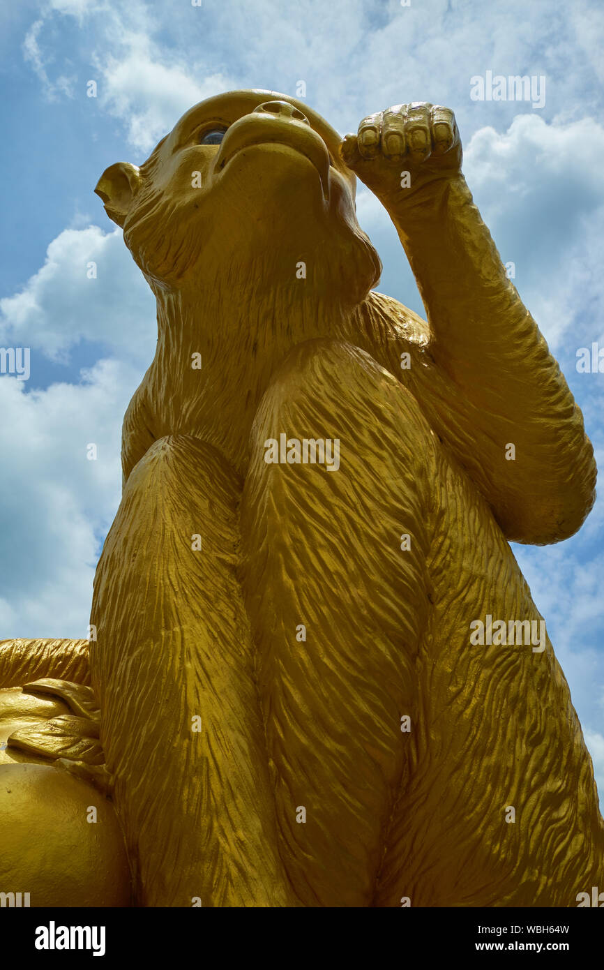 A Chinese gold monkey statue in Lopburi, Thailand. The town hosts thousands of monkees Stock