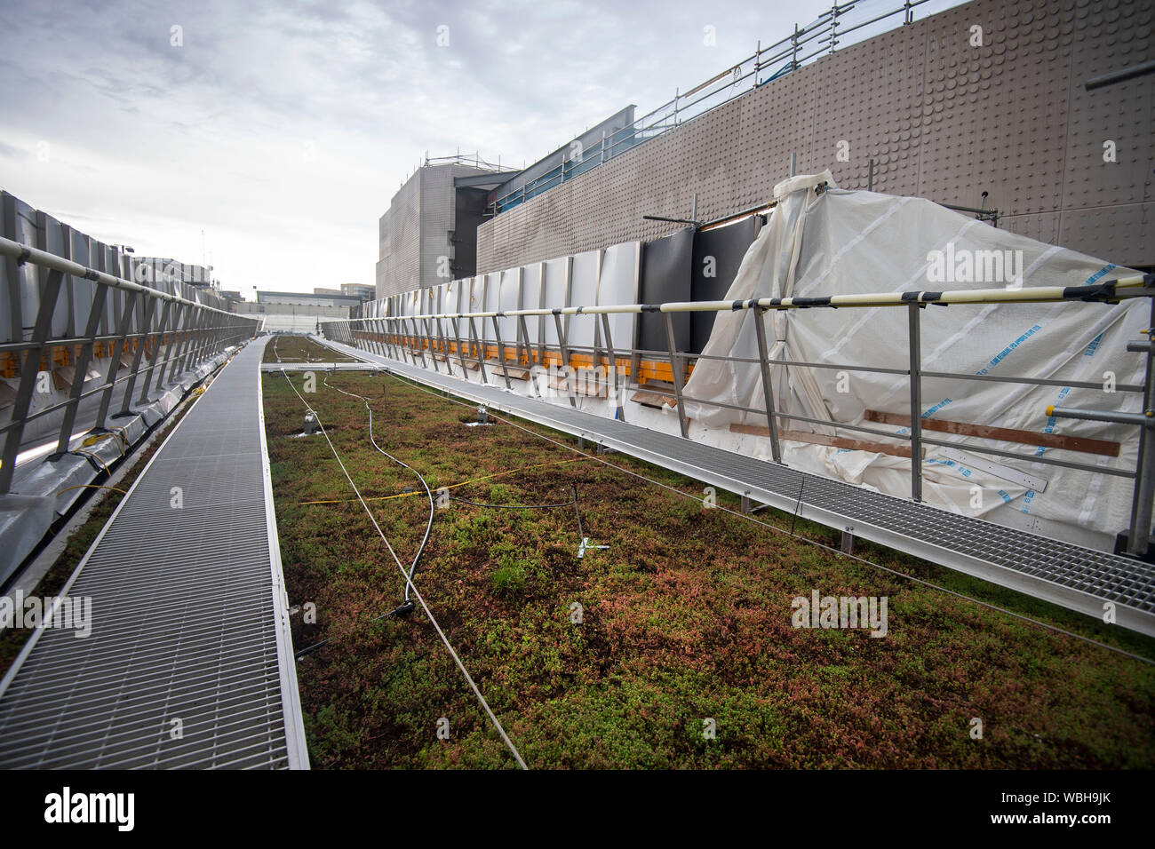 The living roof on the new Crossrail project at Whitechapel station in East London as the Elizabeth Line continues to be developed. Stock Photo
