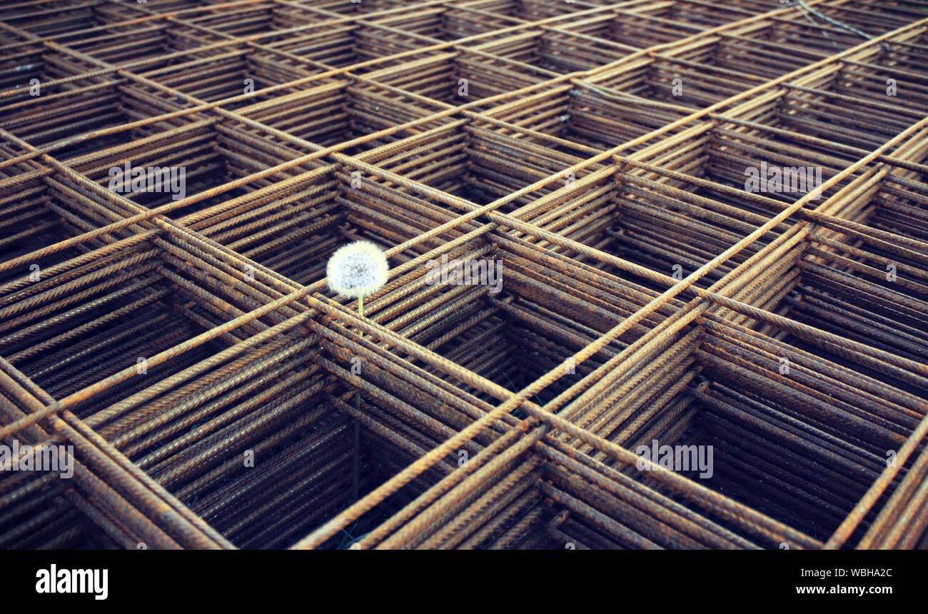 View Of Dandelion On Stack Of Metal Construction Material Stock Photo