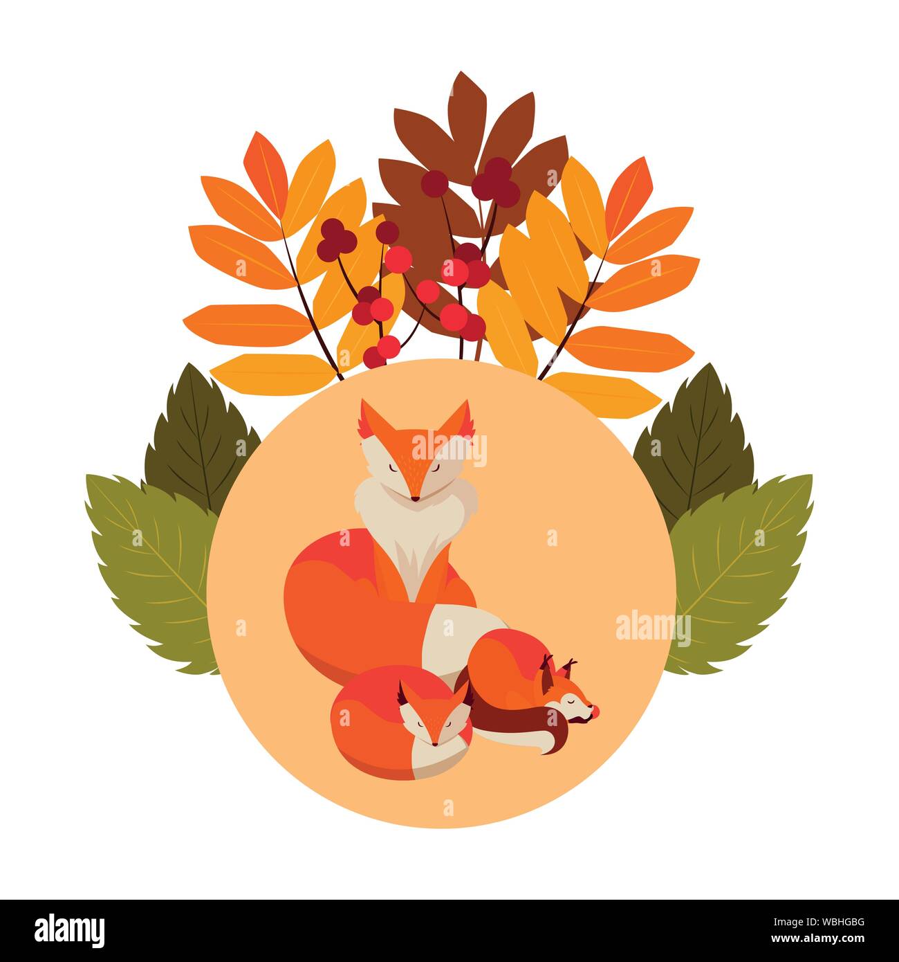 foxes mammal happy autumn season vector illustration Stock Vector Image