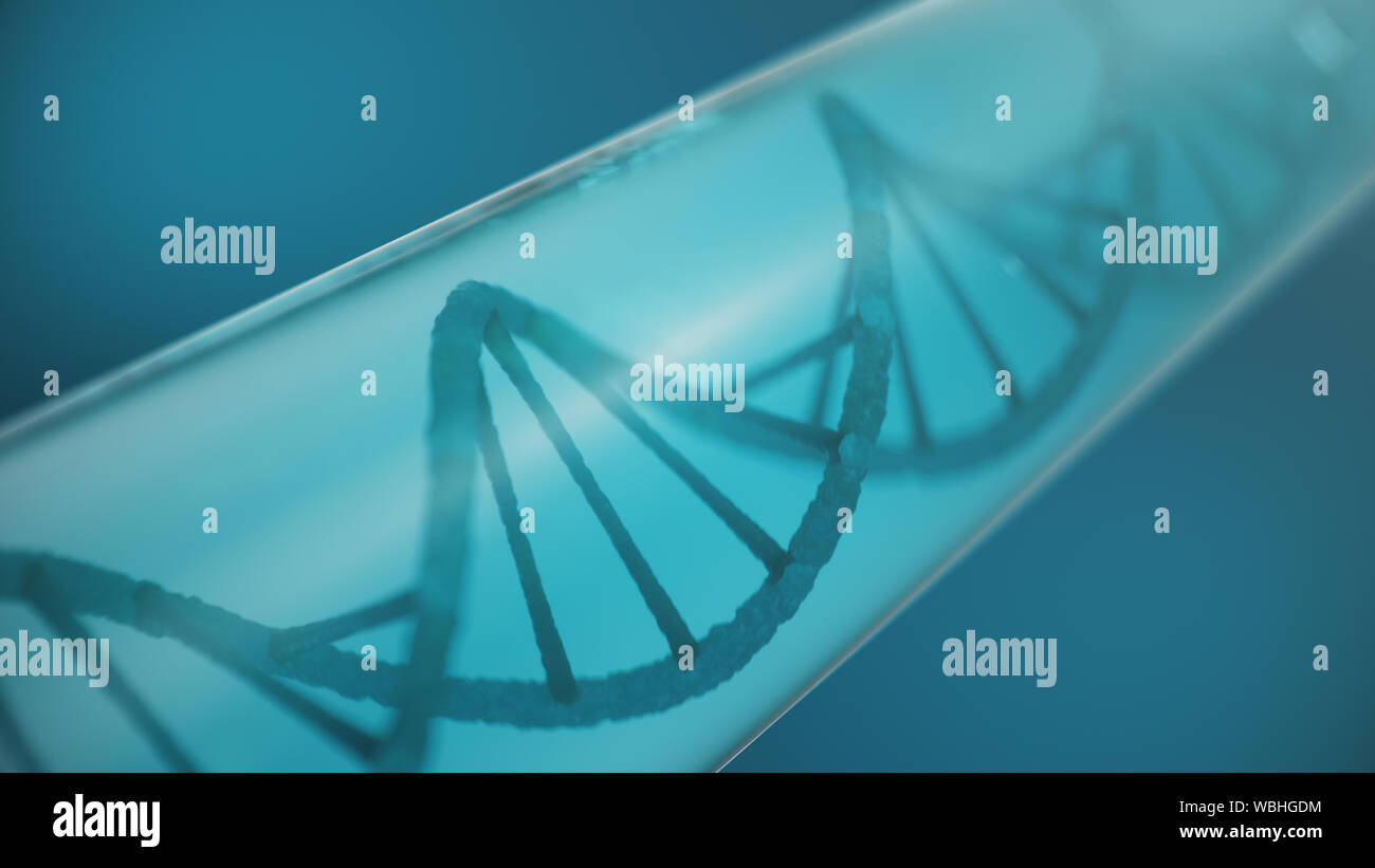 Double helical structure of DNA inside the test tube, DNA molecule, RNA ...