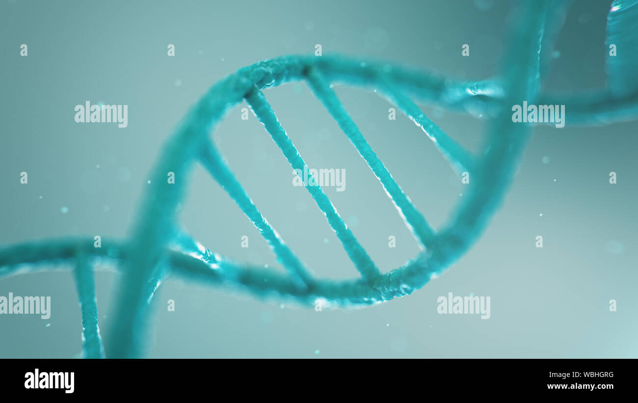 Double helical structure of DNA, DNA molecule, RNA. The concept of
