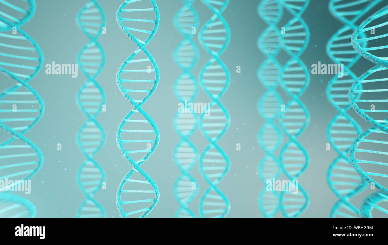 helical structure