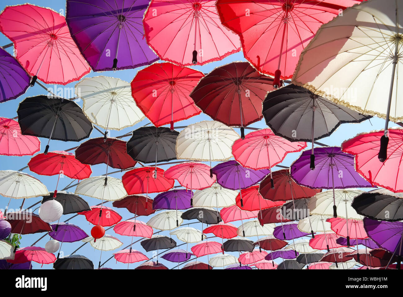 Colorful Real Umbrella