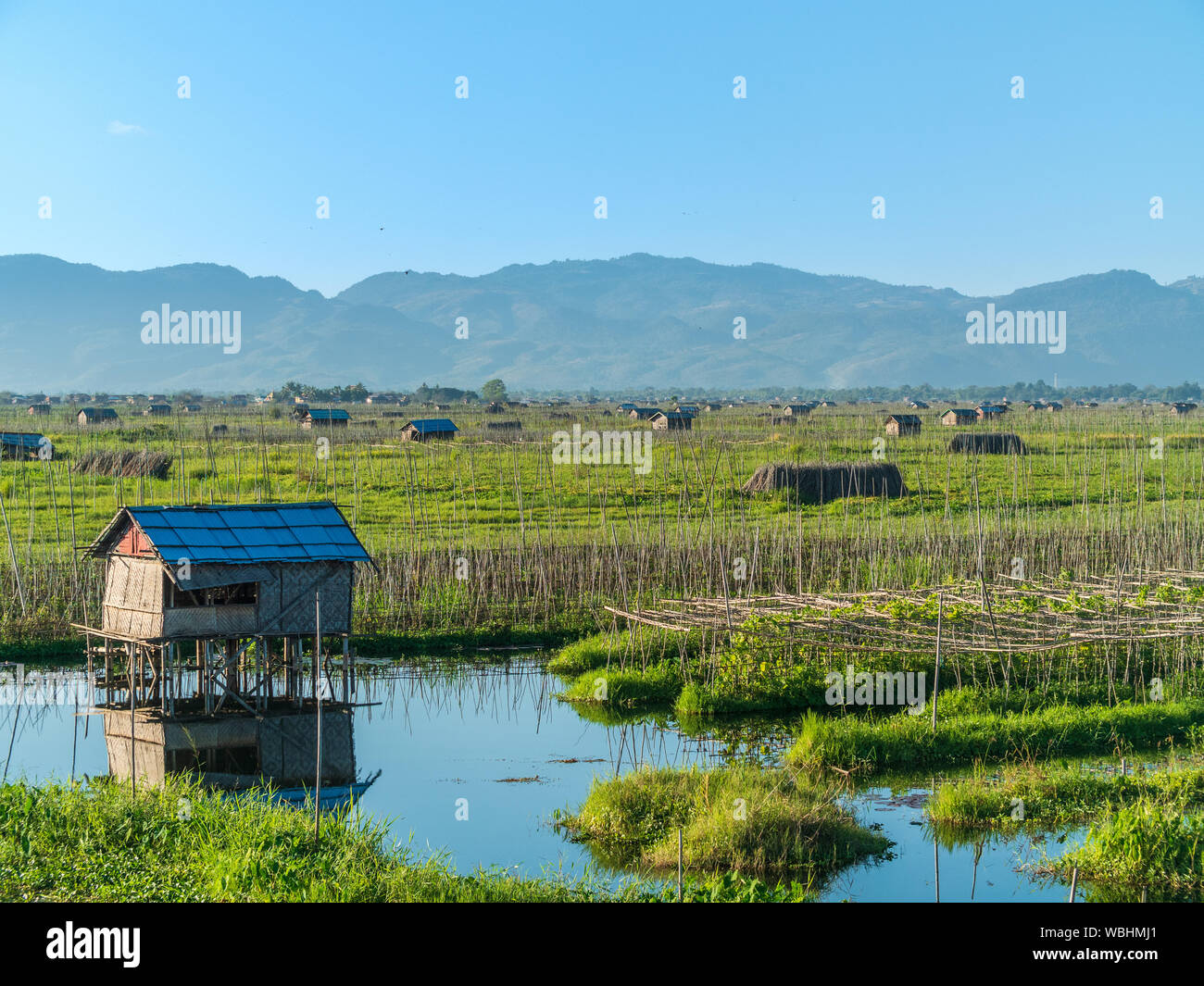 Floating vegetable garden hires stock photography and images Alamy