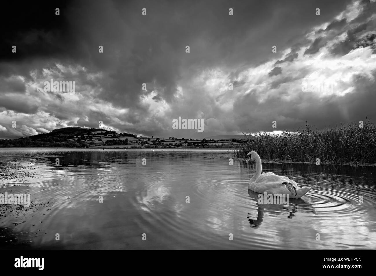 Langorse Lake Stock Photo