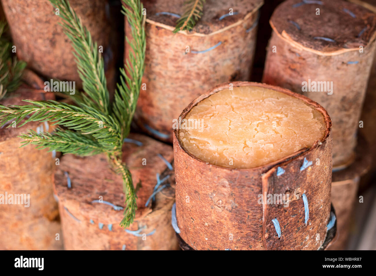 Traditional romanian sheep cheese Brânză de burduf in tree bark Stock Photo