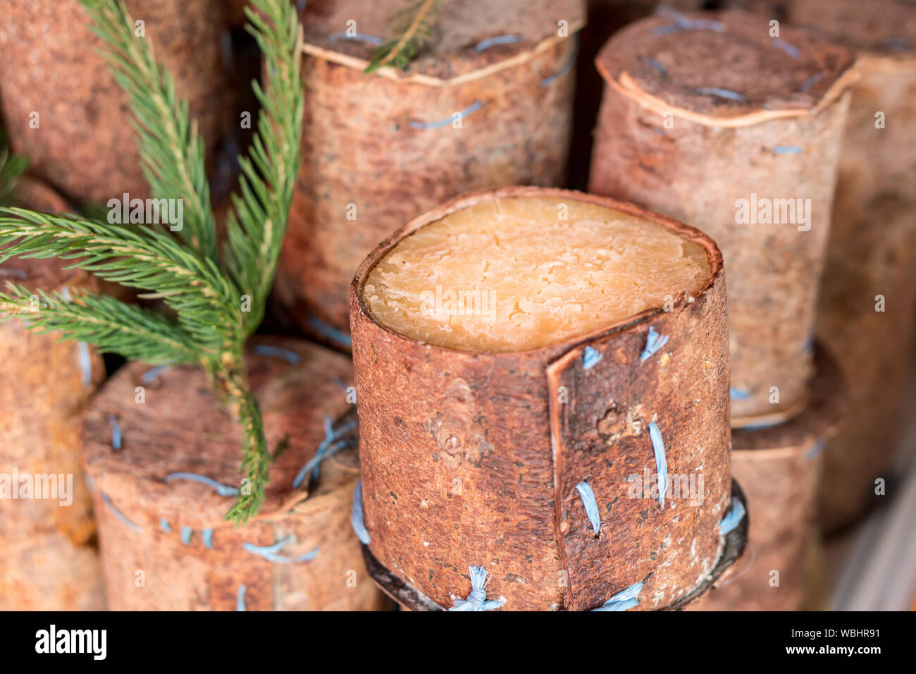 Traditional romanian sheep cheese Brânză de burduf in tree bark Stock Photo