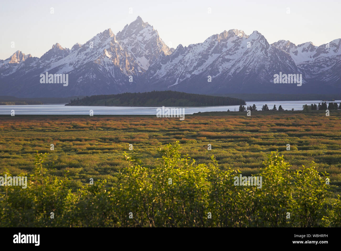The Teton Range And Jackson Lake From Jackson Lake Lodge Grand