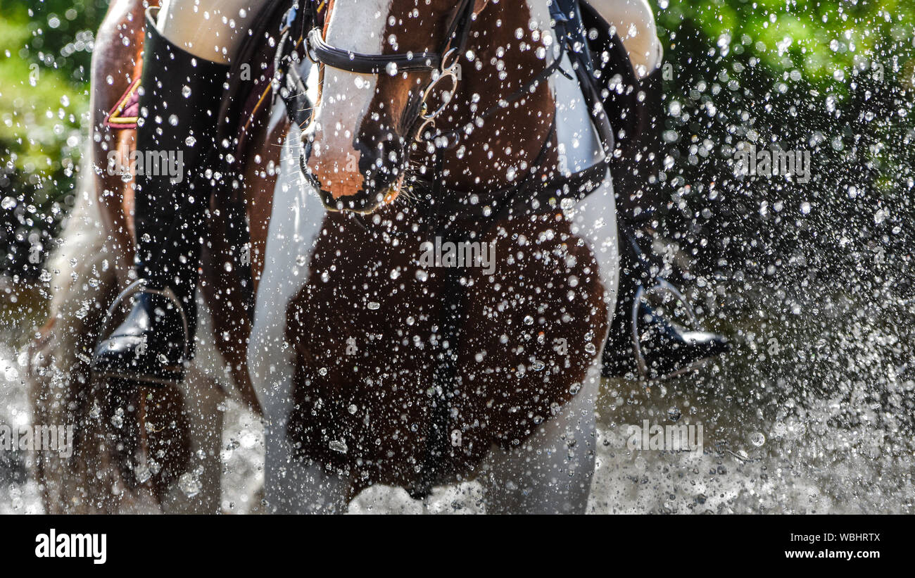Freeze frame water droplets as horse, ponies and riders splash through shallow river crossing at equestrian event in West Linton, Scottish Borders. Stock Photo