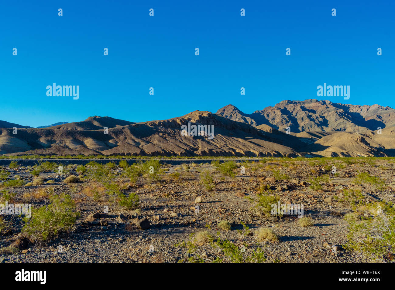 Beautiful in death hi-res stock photography and images - Alamy