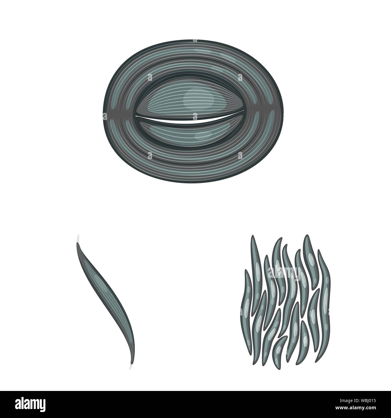 Vector design of human and body logo. Set of human and cells stock ...