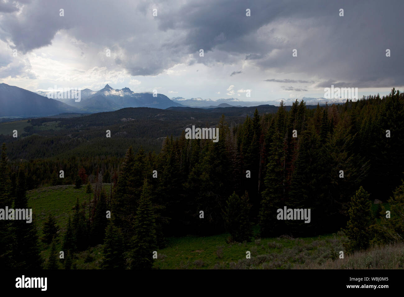 Pilot Ridge Overlook Pilot Peak and Index Peak from Pilot Index Overlook Montana USA June ...