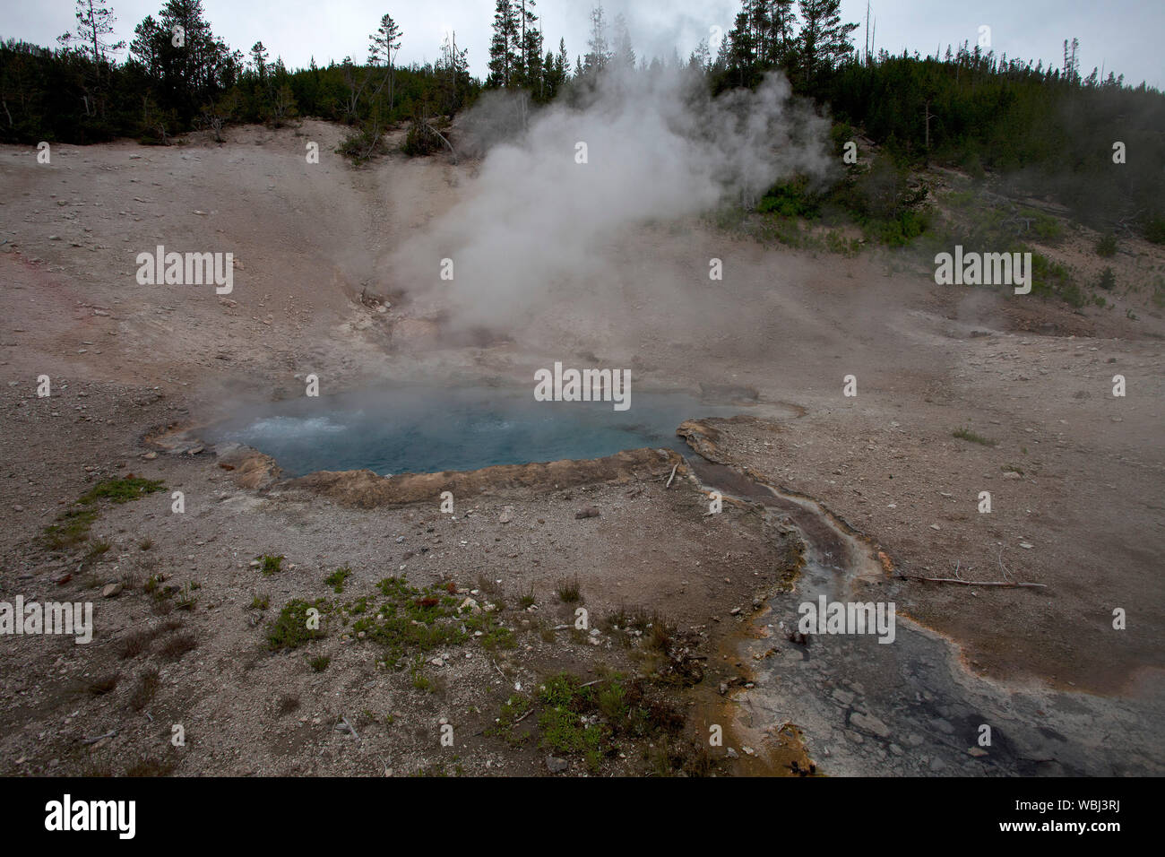 Beryl spring superheated hi-res stock photography and images - Alamy