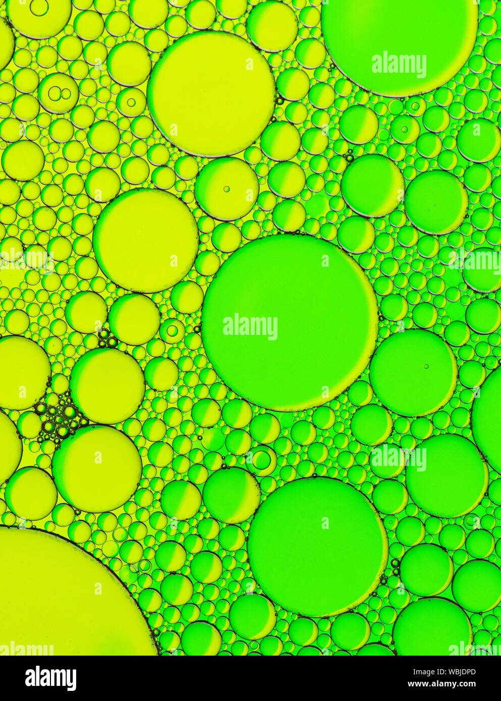 Multi-coloured bubble patterns formed by oil floating on water Stock ...