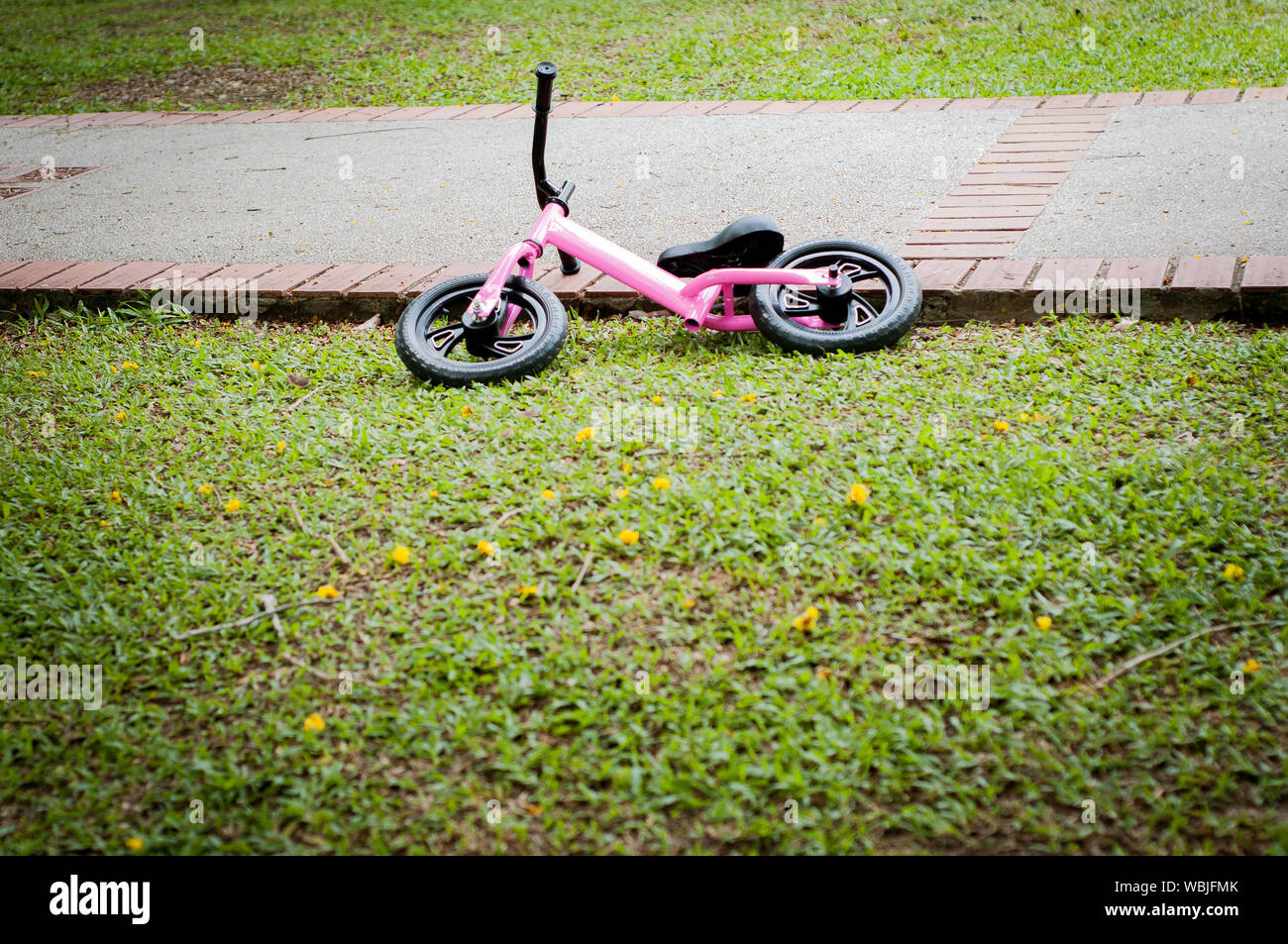 Pink bike for little girl. A pink bike parking in the park near the pavement. Stock Photo