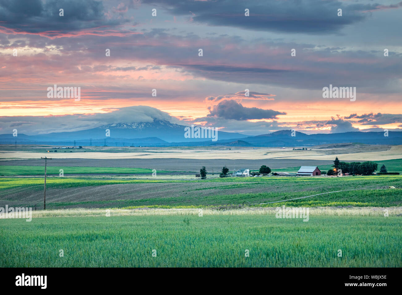 Western USA Countryside Sunset: Rolling fields and expansive farmland with a snow-capped mountain in the distance at sunset - Washington, USA Stock Photo