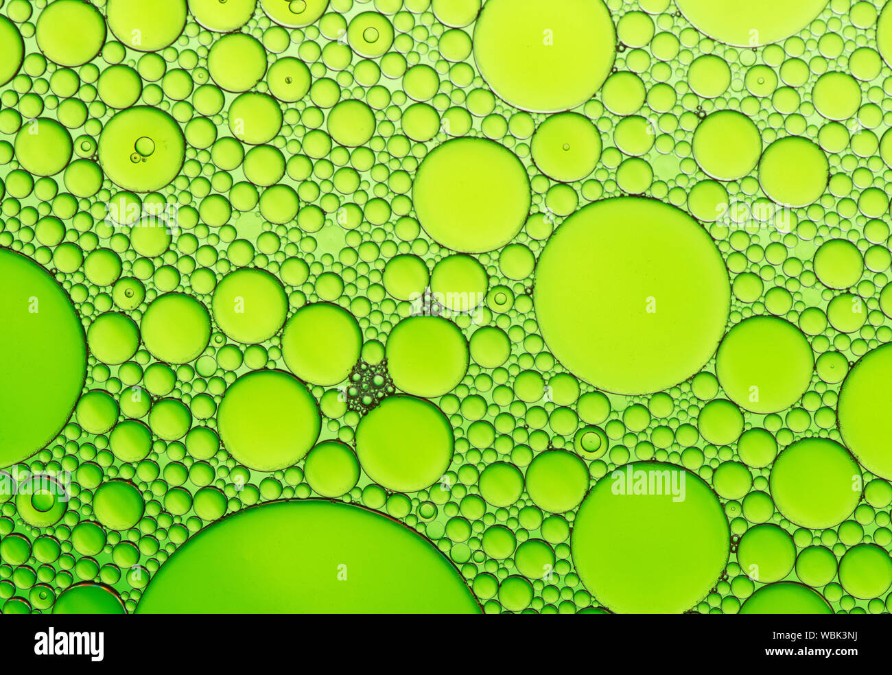 Multi-coloured bubble patterns formed by oil floating on water Stock ...