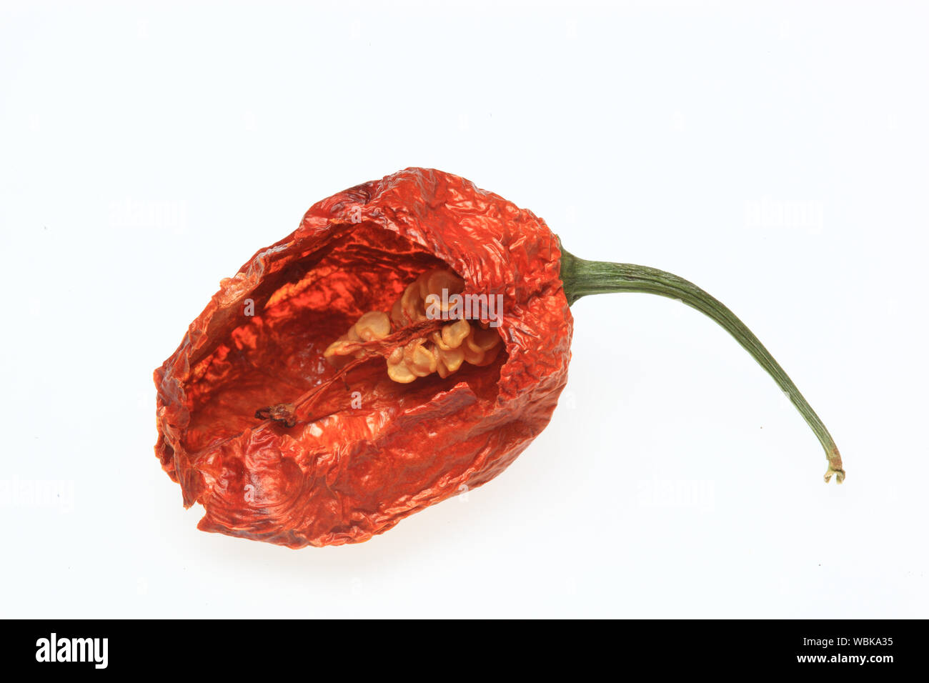 Close-up Of Bhut Jolokia Chili Pepper On White Background Stock Photo