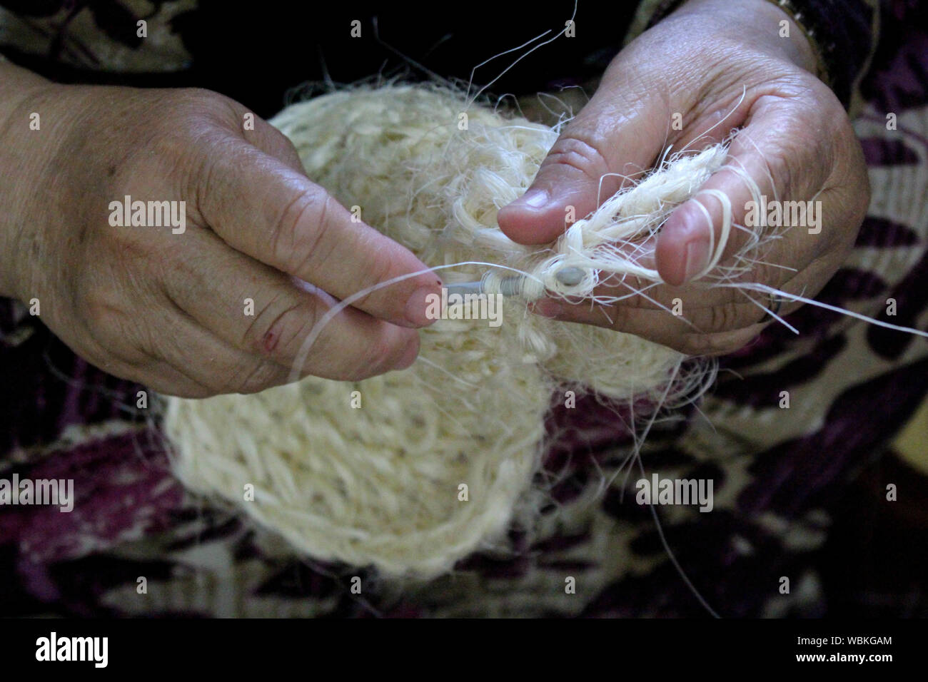 Hebron West Bank Palestinian Territory 27th Aug 2019 Palestinian Woman Make Body Loofahs At Their House In The West Bank City Of Hebron On 27 August 2019 The Fully Developed Fruit Is