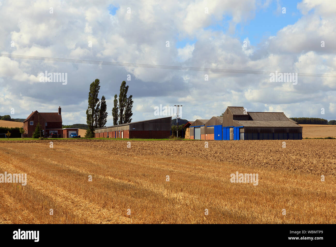 Lincolnshire Farm after harvesting the field crops Stock Photo